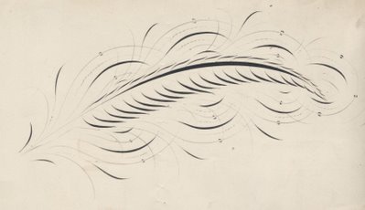 feather calligraphy