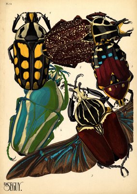 prints of insects art deco