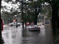 Water, water, everywhere!