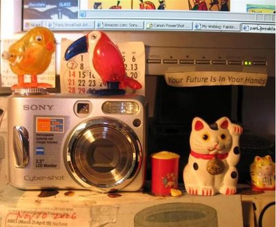 New birds in the house sitting on unused Sony..
