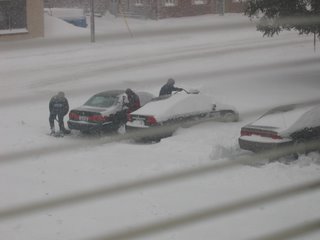 snow elves