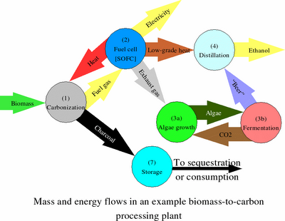 Mass and energy flows in an integrated biomass polygeneration plant