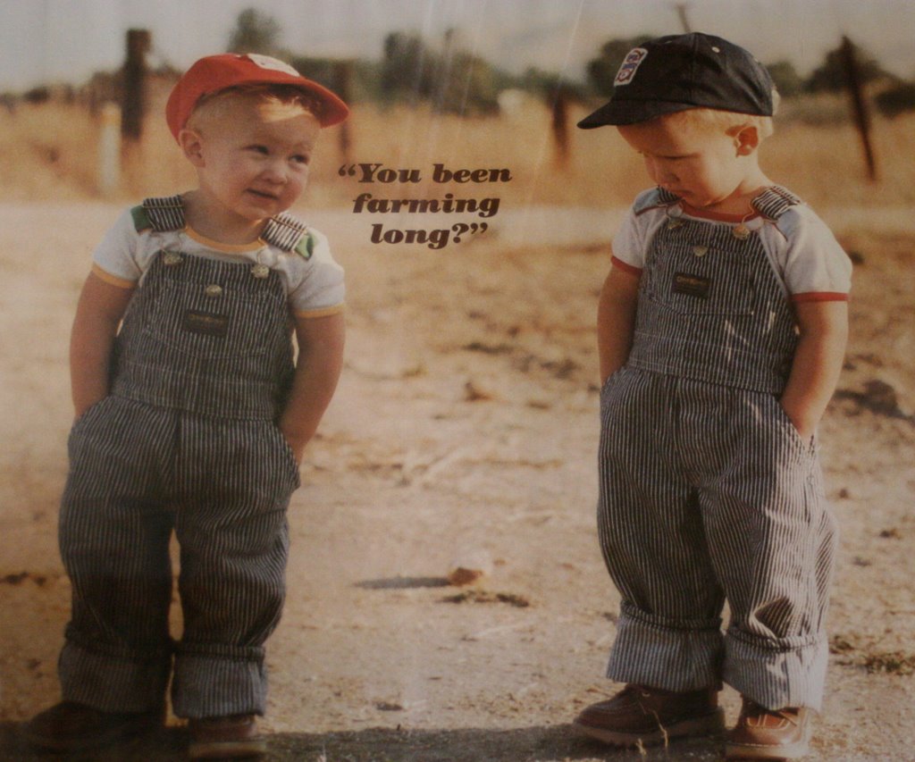 THE HEALING PLACE: Little Boys in Striped Overalls