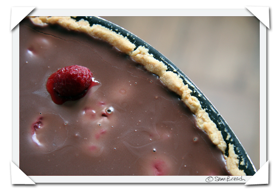 avoca cookbook chocolate raspberry tart