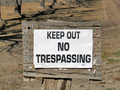 Pecans - No Trespassing