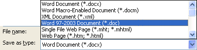 Microsoft Office 2007 File Formats