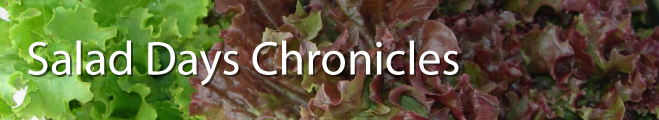 Salad Days Chronicles
