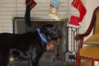Diesel's stocking was hung by the chimney with care