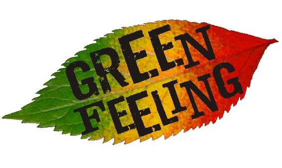 Филинг Грин. Надпись feel Green. Green Green feeling. Зеленый из Фил Гуд. Something feels wrong