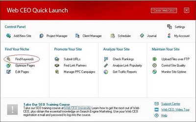 WebCEO Graphic User Interface