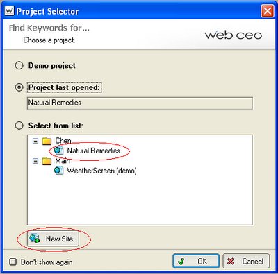WebCEO Project GUI (graphic user interface)