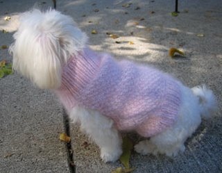 Cashmere and angora dog sweater