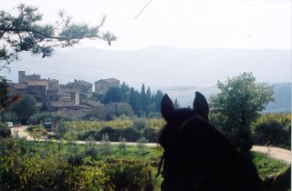 Horseback View of Volpaia,  Italy