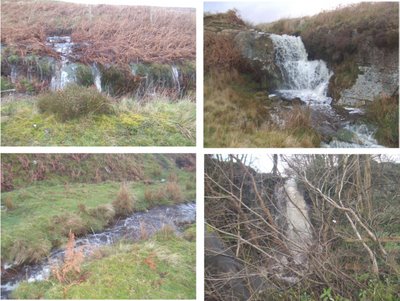 waterfalls northumberland