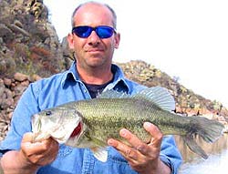 Lake Tom Steed Oklahoma Largemouth Bass Fishing Report