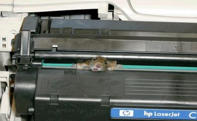mouse stuck in printer hewlett packard