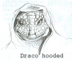 Alien Hooded Drago