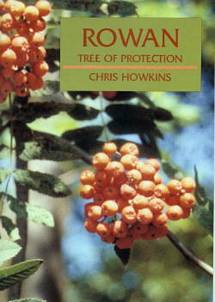 Fra gli Alberi - Vita nelle Foglie: The Rowan Tree (Mountain 