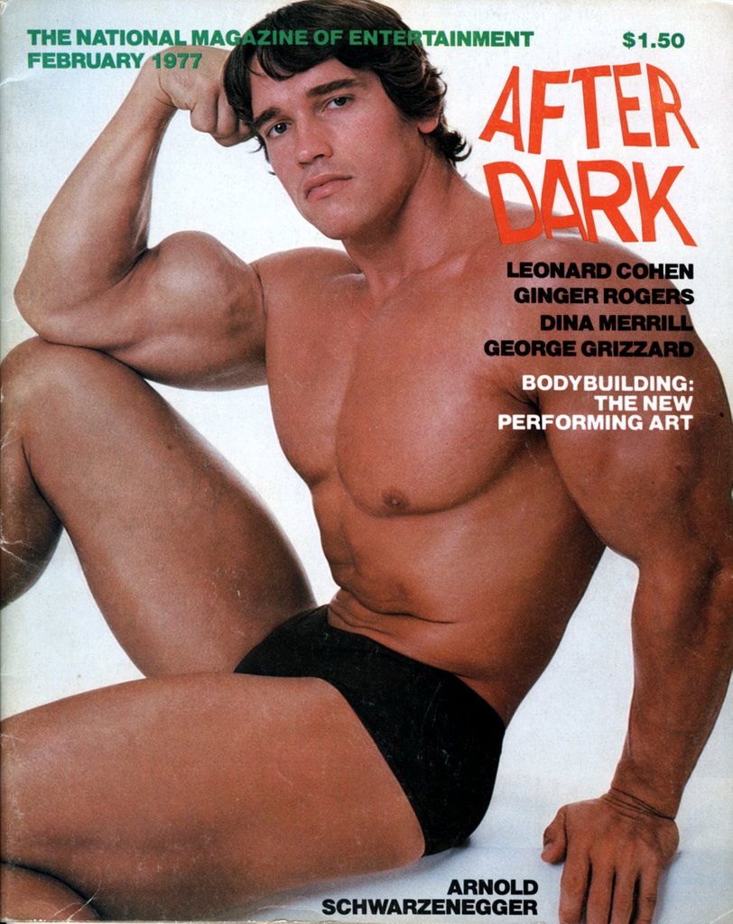 Arnold schwarzenegger gay porn