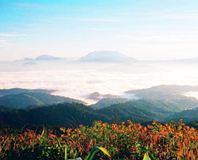 Huai Nam Dang National Park of Thailand Sea of Mist View