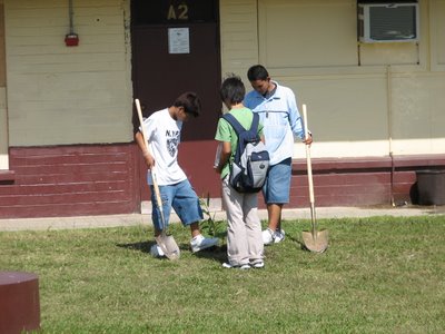 Hopwood Students Planting Trees