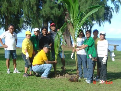 Saipan Coconut Planting