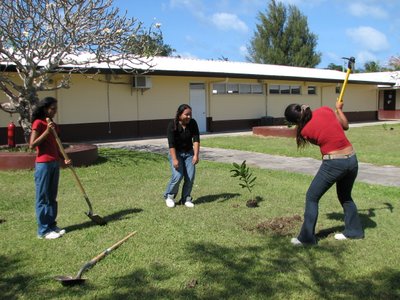 Hopwood Students Planting Trees
