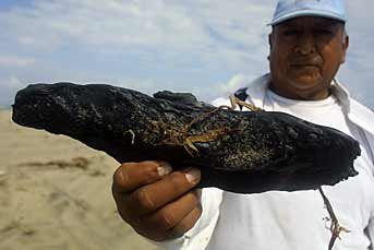 For gifts, collectibles and Mexican art and crafts, visit Pale Horse Galleries online store. http://palehorsemex.vstore.ca/ A worker holds up a piece of asphalt collected from a Tabasco beach which PEMEX claims is naturally occurring.