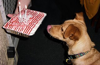 The Puppy and I were the only ones who appreciated the minty madness of the cake.