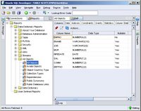 SQL Developer 1.0 EMP properties