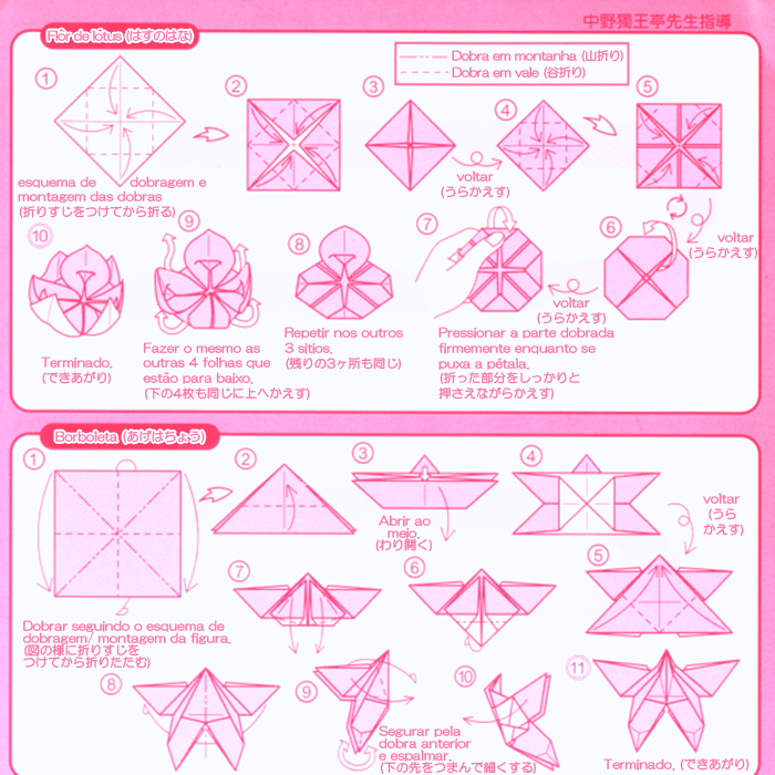 paper tutorial water lily also various and why different there names Thatâs diagrams are