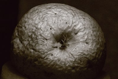 photo d'une pomme toute ridée, an apple, photo dominique houcmant, goldo graphisme