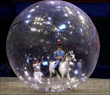 Horse riding inside a giant plastic bubble