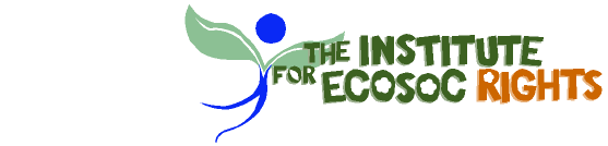 The Institute for Ecosoc Rights