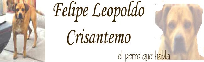 Felipe Leopoldo Crisantemo, el perro que habla