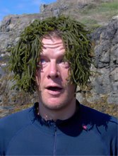 seaweed moss