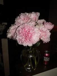 Peonies with Tab