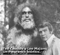 Bionic Bigfoot and Steve Austin