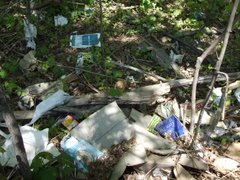 Garbage pollution along the Rideau River in Ottawa