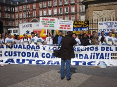 Manifestación por la custidia compartida madrid.
