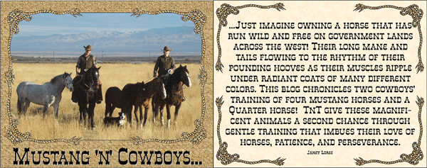 Mustang 'n' Cowboys