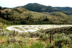 Spotted Lake, Osoyoos  06/07