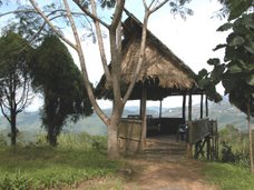 The moorung at CTC, Mokokchung, Nagaland