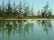 Lagoa de Araruama...