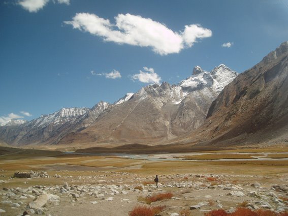 Ladakh,Sani