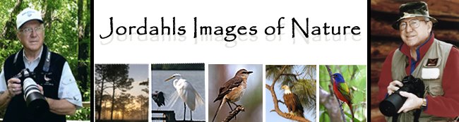 Jordahls Images of Nature