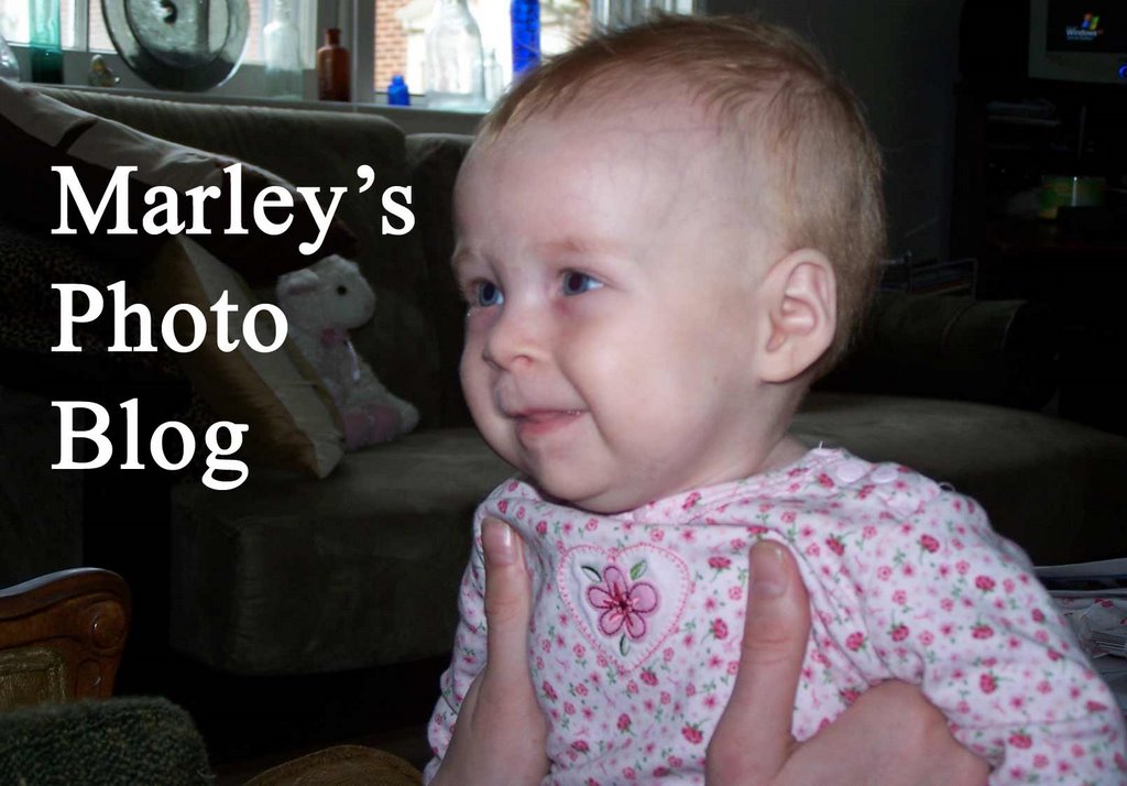 Marley's Photo Blog