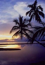 Paraiso tropical