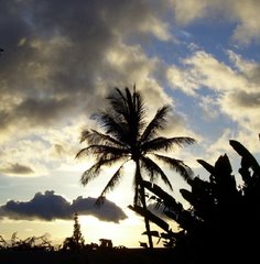 The Skies of Maui