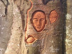 WOOD CARVING on dying tree